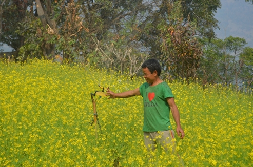 Improved irrigation can offer new opportunities for those who don’t migrate