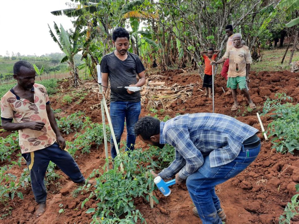 Soil moisture monitoring to optimize irrigation water in the Nile Basin.