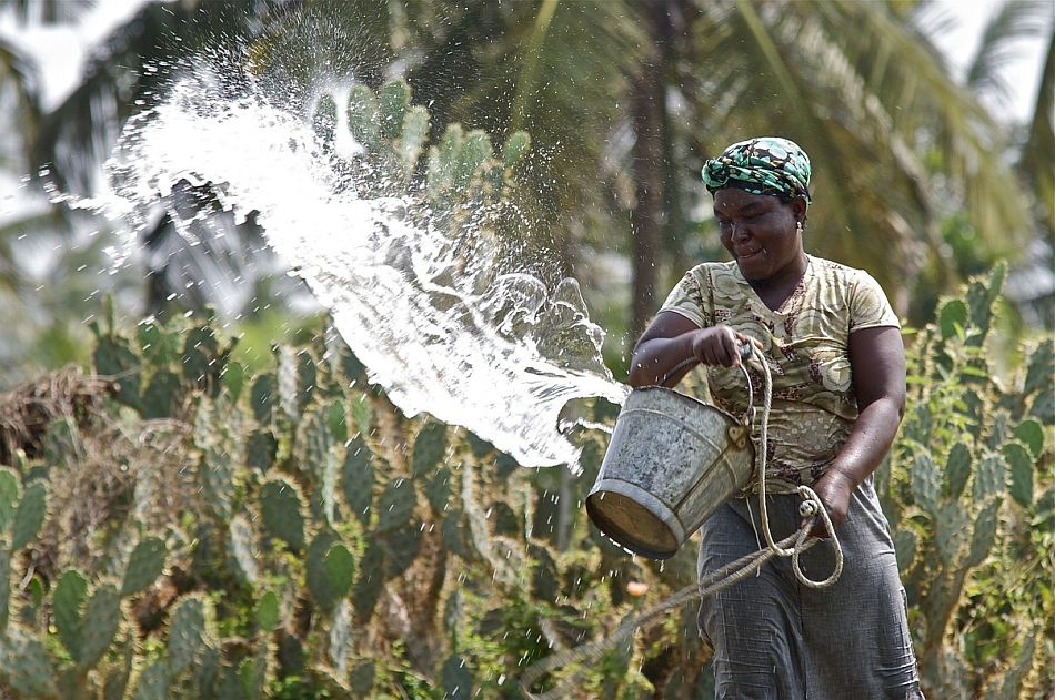 Woman watering crops. Photo: Joe Ronzio / IWMI