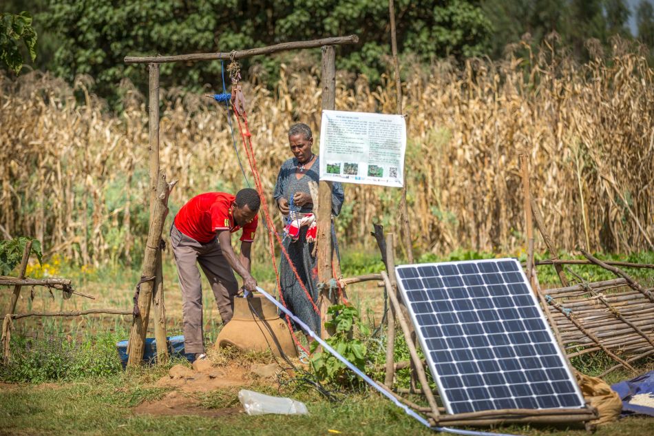 Danghesta village, Dangila district, Amhara region, Ethiopia, runs on gravity where water from a tank flows into the irrigation tubes. Photo: Mulugeta Ayene/WLE.