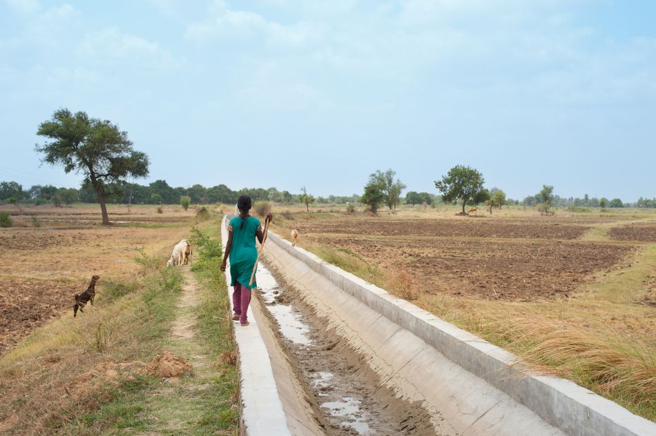 Dried-up canal in Gujarat. Photo: Hamish John Appleby / IWMI