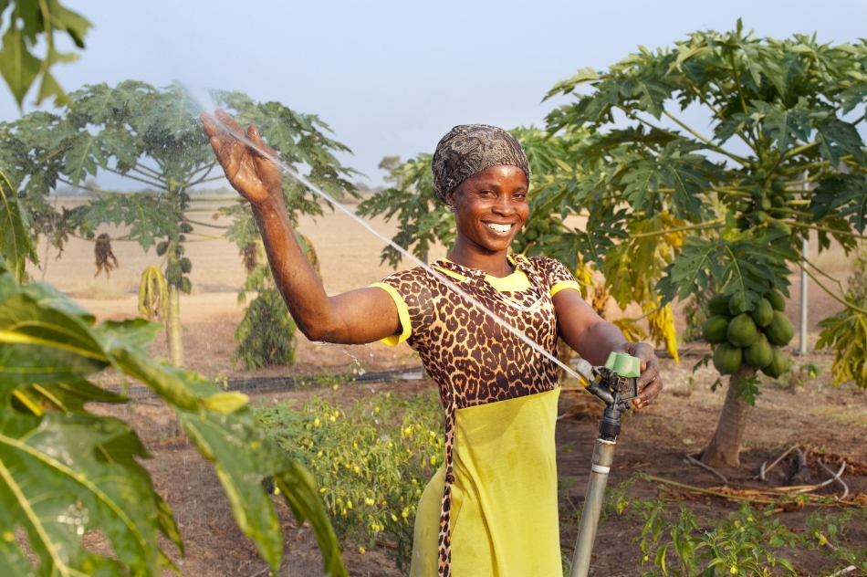 A woman farmer inspecting sprinkler-950. Photo: Hamish John Appleby / IWMI