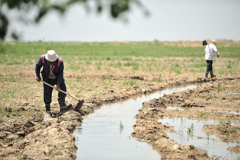 Photo: Neil Palmer / IWMI