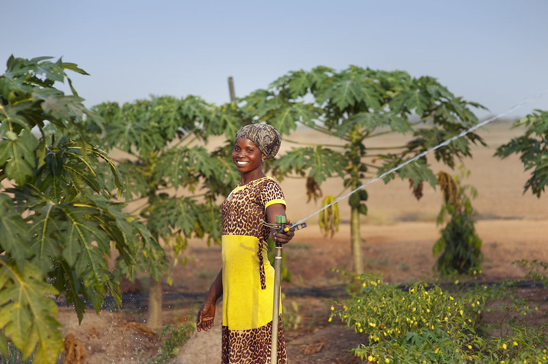 A woman farmer inspecting a sprinkler