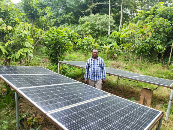 Peter Oppong on his cocoa farm in the Ashanti region. Kekeli Gbodji / IWMI.