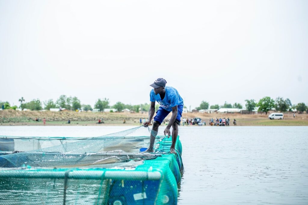 Daraku Mohammed Mumin manages the aquaculture nets. Photo: IWMI