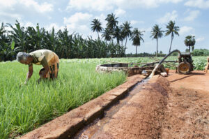 Jaffna’s groundwater crisis requires a collaborative pathway to sustainable water management